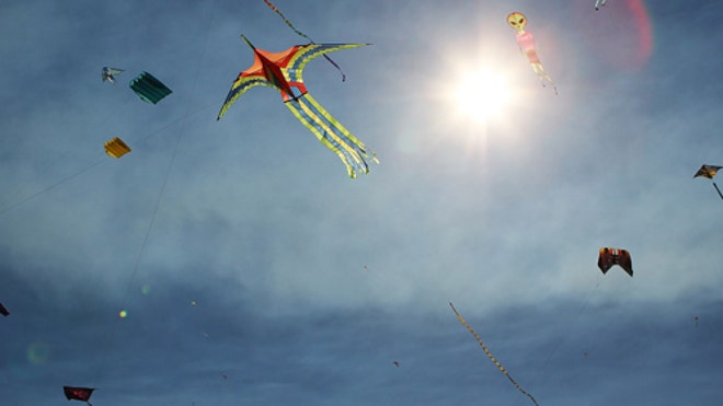 Kites Deportation.jpg
